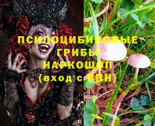 ECSTASY Армянск